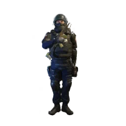 Rook On Parade