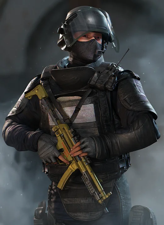 Rook