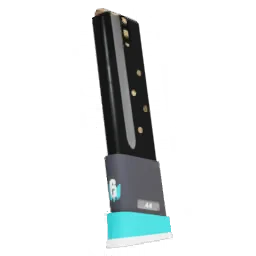 Extended Mag