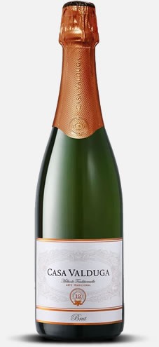Casa Valduga Arte Brut