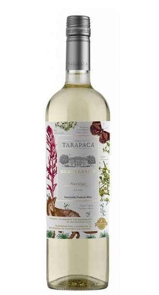 Tarapacá Reserva Gentle Pinot Grigio