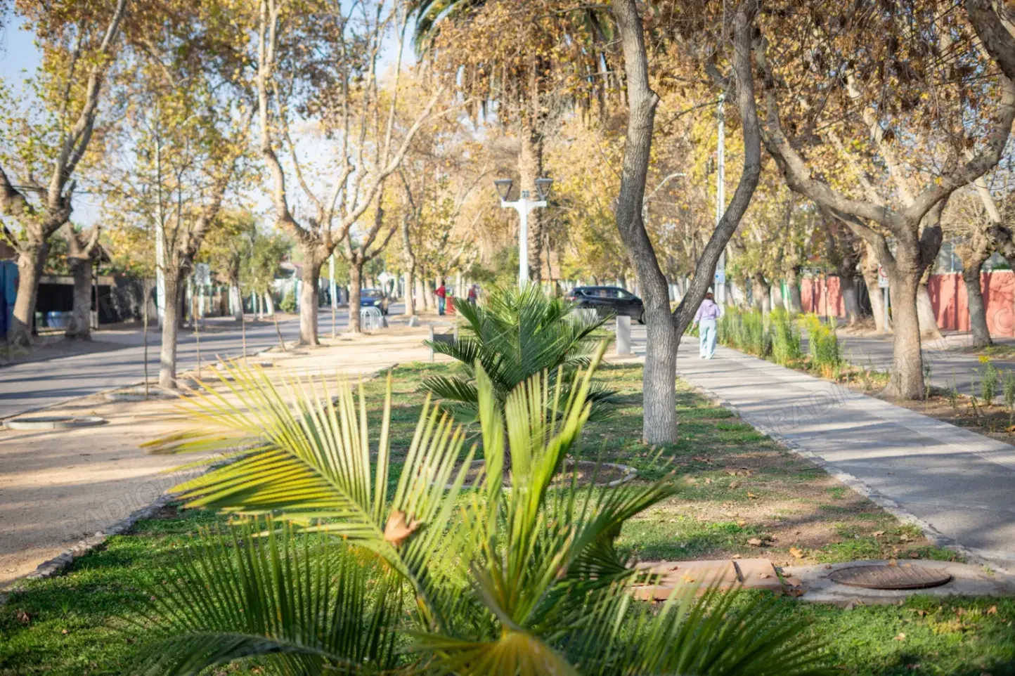 Inauguran renovado bandejón de Avenida Los Carrera de El Monte