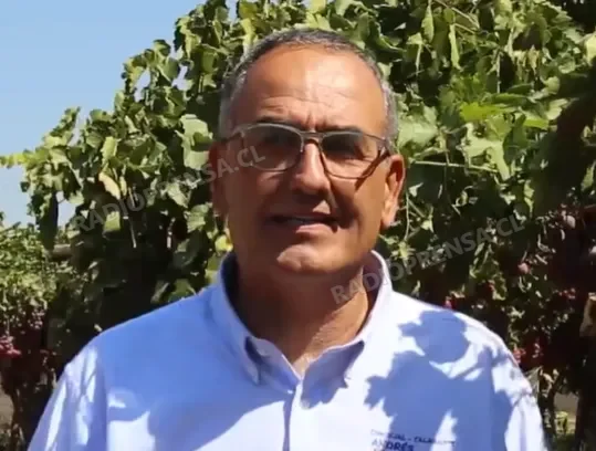 Concejal cuestiona contratación de ex jefe de Finanzas tras millonario fraude que afectó a la Corporación Municipal de Talagante