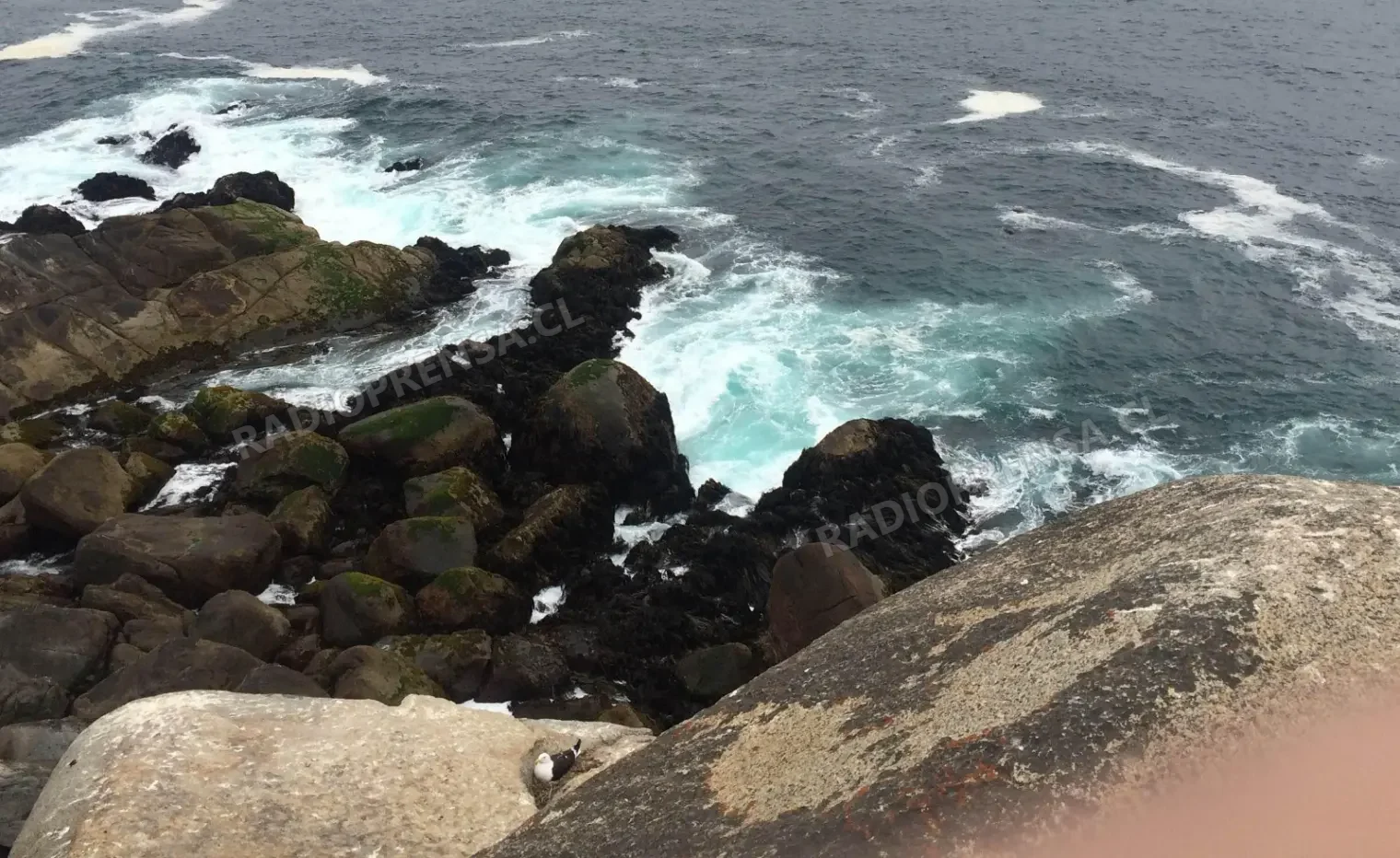 Armada, pescadores artesanales y equipos de emergencia rescatan a joven arrastrado por las olas en Punta de Tralca