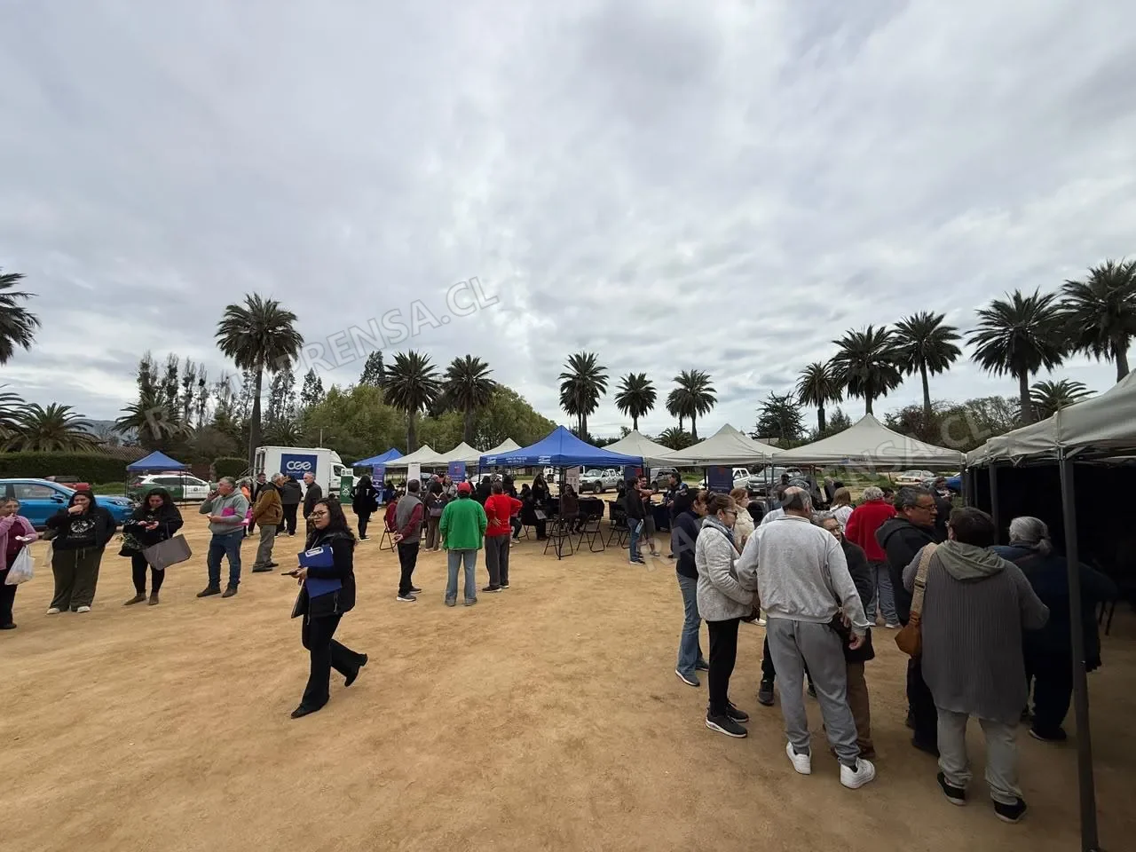 Gobierno en Terreno llevó servicios públicos a vecinos de Las Palmeras de Culiprán