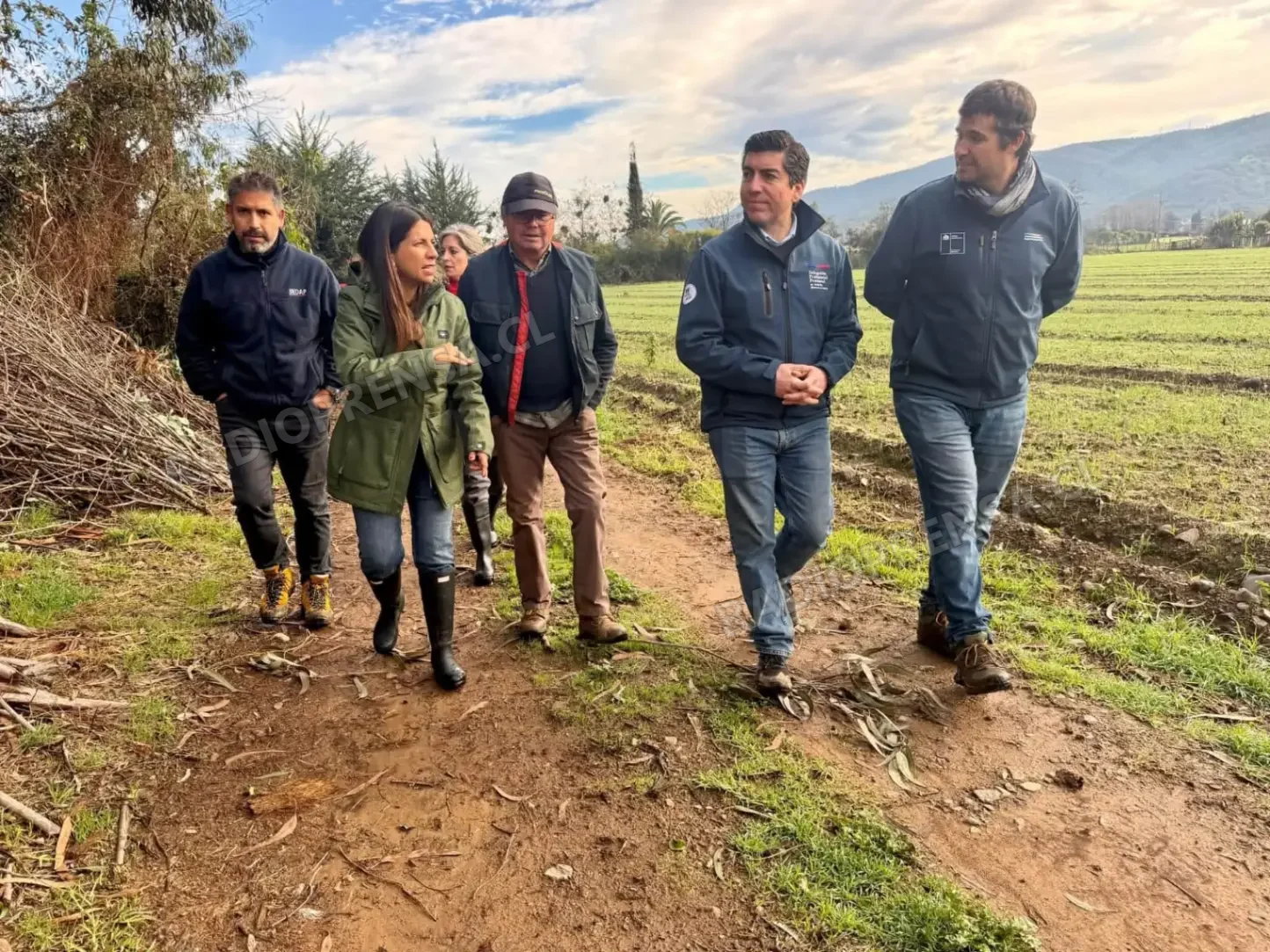 Temporal deja graves daños en agricultores de Melipilla: autoridades anuncian catastro y apoyo económico