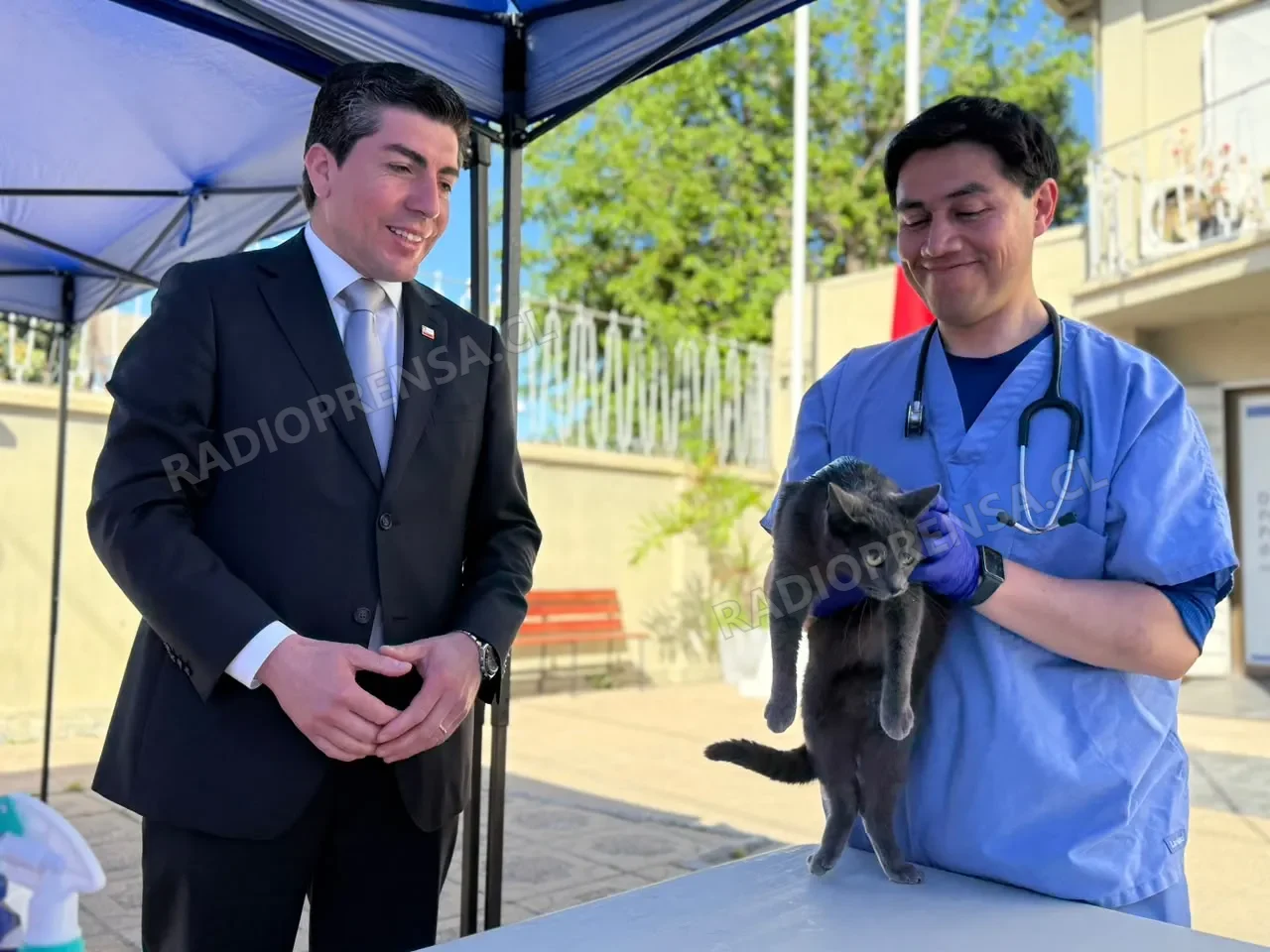 Exitoso Cierre de Programa de Tenencia Responsable de Mascotas en provincia de Melipilla