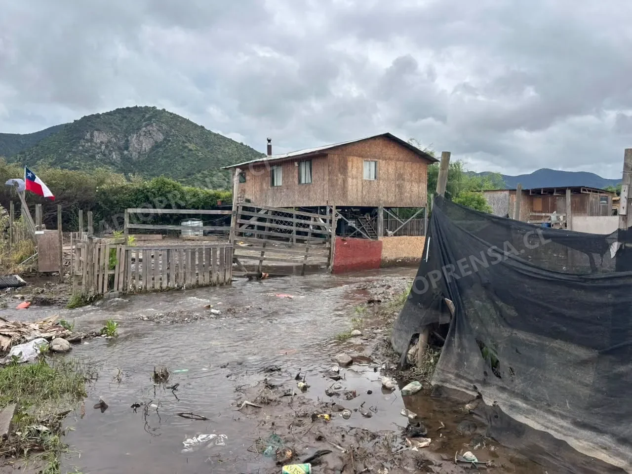 Talagante: esta mañana comenzó el desalojo voluntario del campamento Ribera del Mapocho