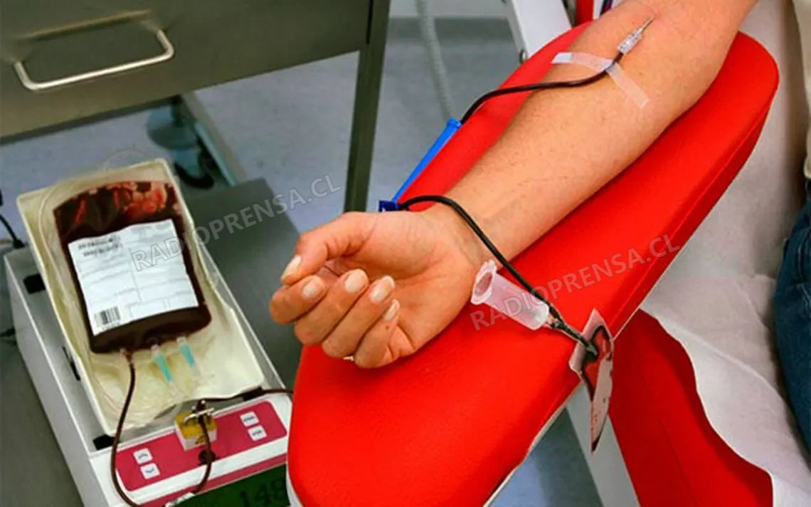 El hospital de melipilla conmemora el día mundial del donante de sangre con un reconocimiento a sus voluntarios permanentes