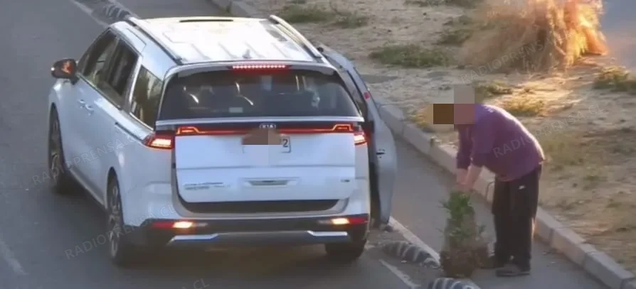 Seguridad Pública frustra robo de especie de ornato municipal en Talagante