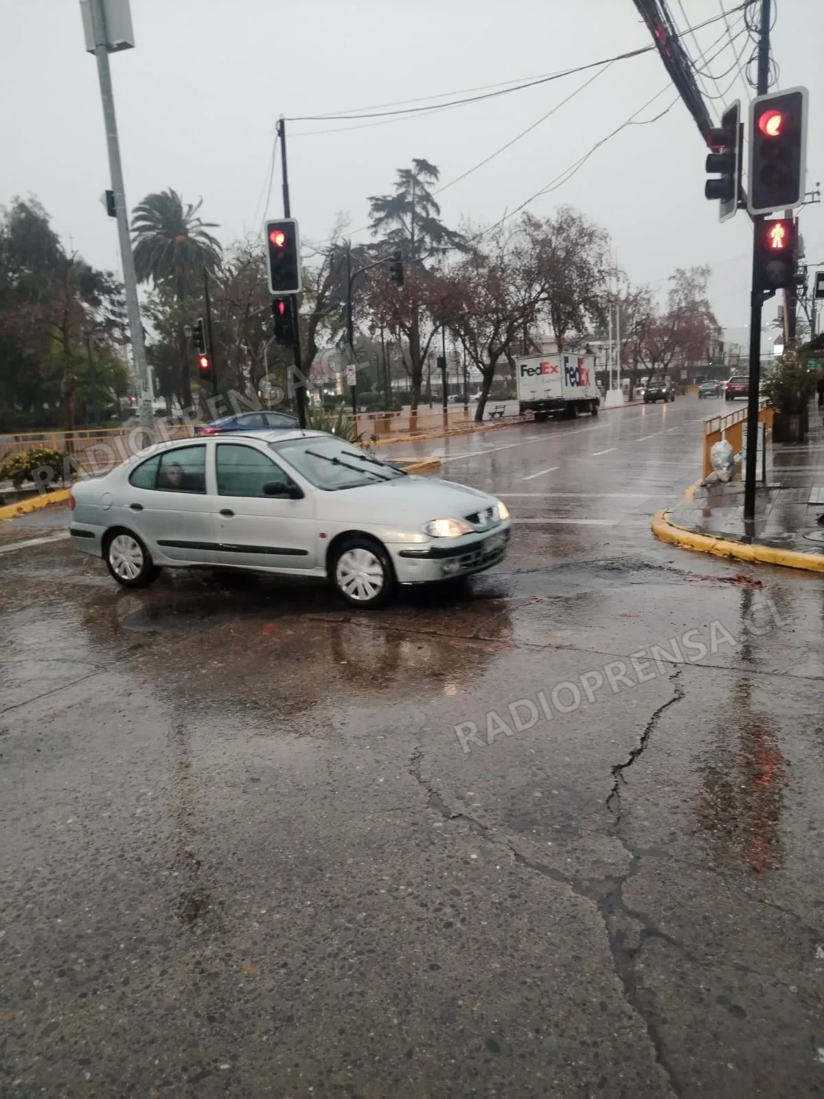 Caída de árboles y cortes de energía concentran las emergencias por las lluvias en Melipilla