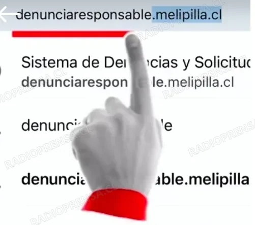Veterinaria Municipal de Melipilla refuerza canales de denuncia contra el maltrato animal y la tenencia irresponsable