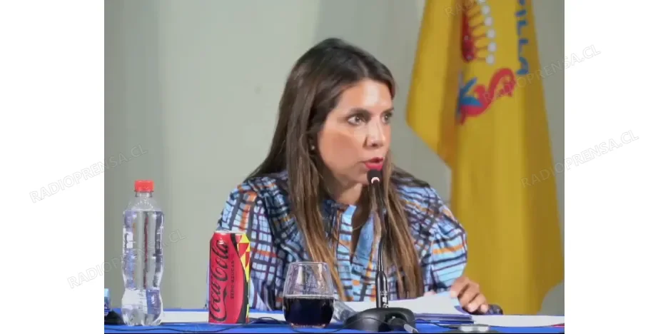 Paula Gárate respondió de forma escueta y tajante, llamando a los concejales a asumir la responsabilidad de sus votaciones ante la comunidad.