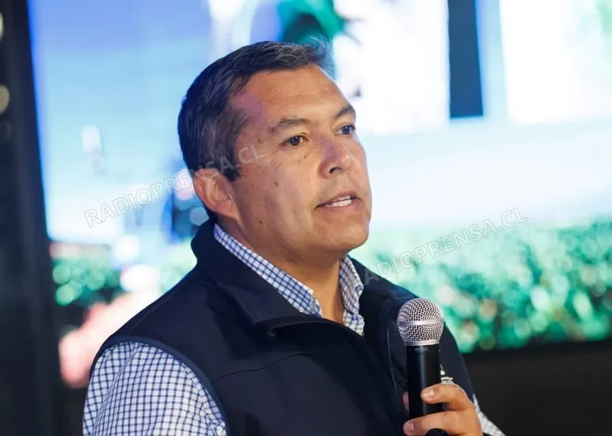 Amplían convenio para apoyar a pequeños productores de frutillas afectados por las lluvias en San Pedro