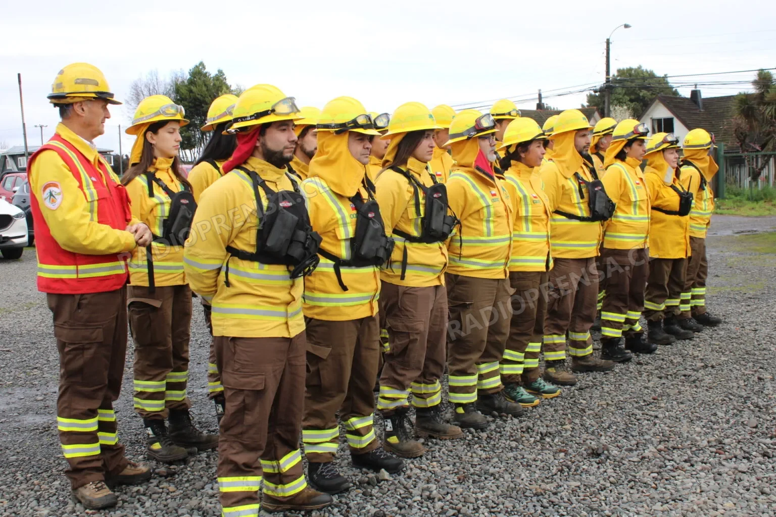 CONAF inicia proceso de inscripción digital para brigadistas de la temporada de incendios forestales