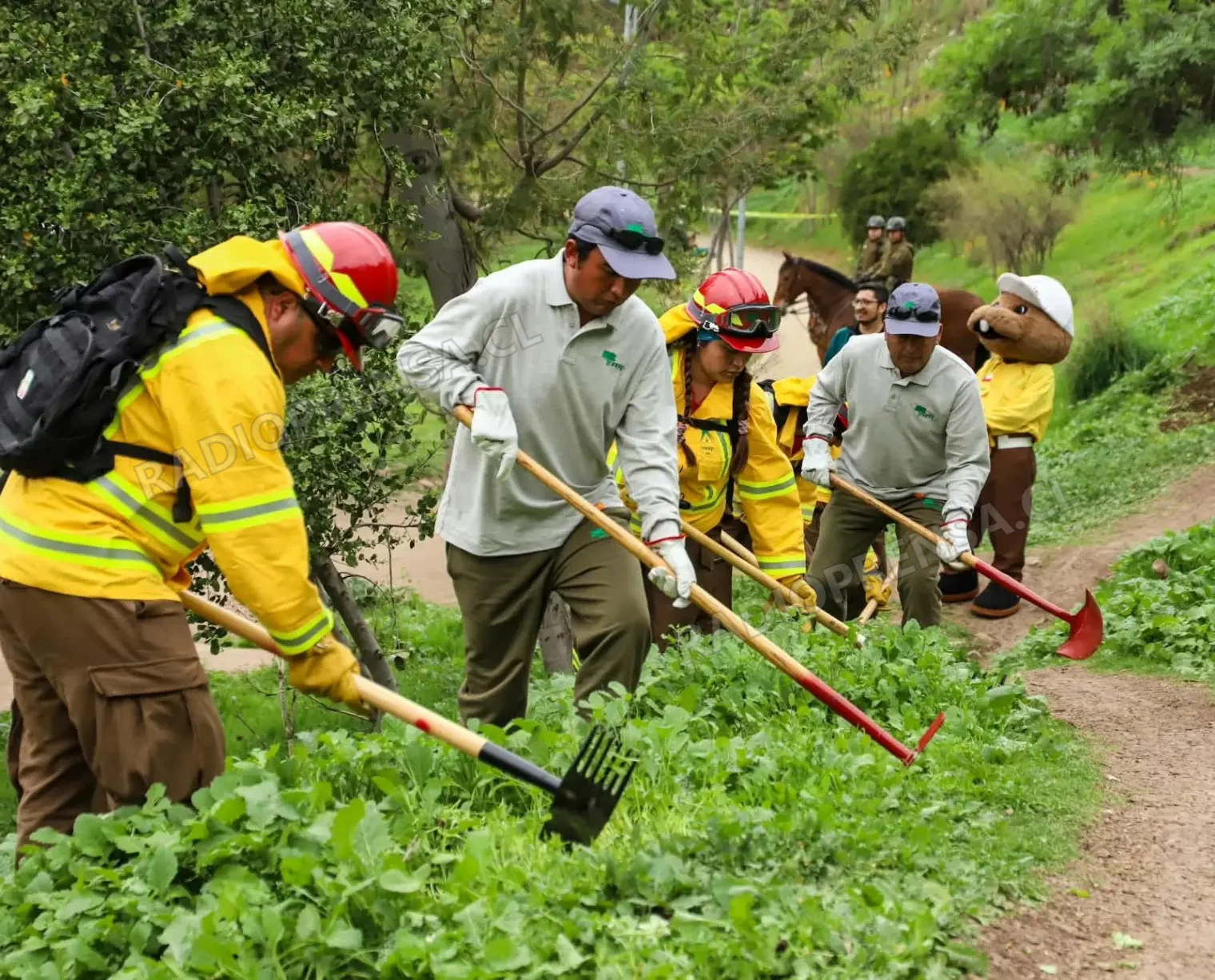 Abren postulaciones para 120 cupos de empleo en prevención de incendios forestales en la RM