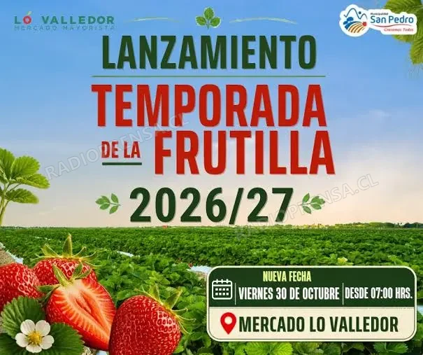 San Pedro lanzará la temporada de frutillas 2026-2027 en Mercado Lo Valledor