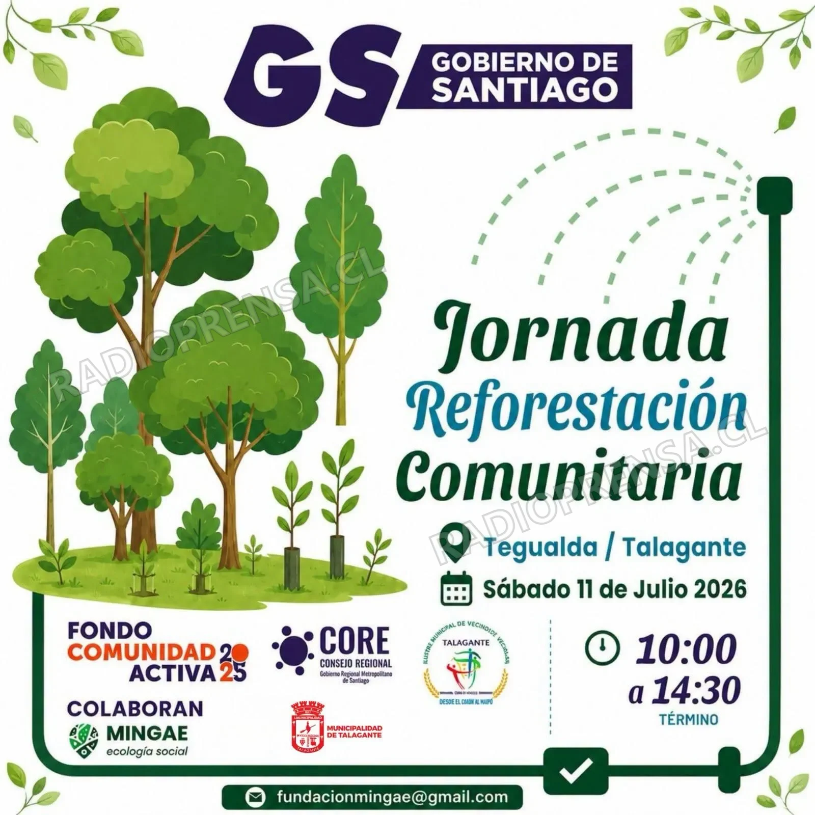 Jornada de reforestación busca recuperar la ribera del río Mapocho en Talagante