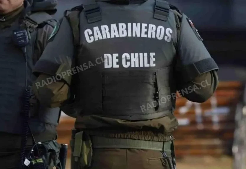 Delincuentes robaron diversas especies en la localidad de La Vega
