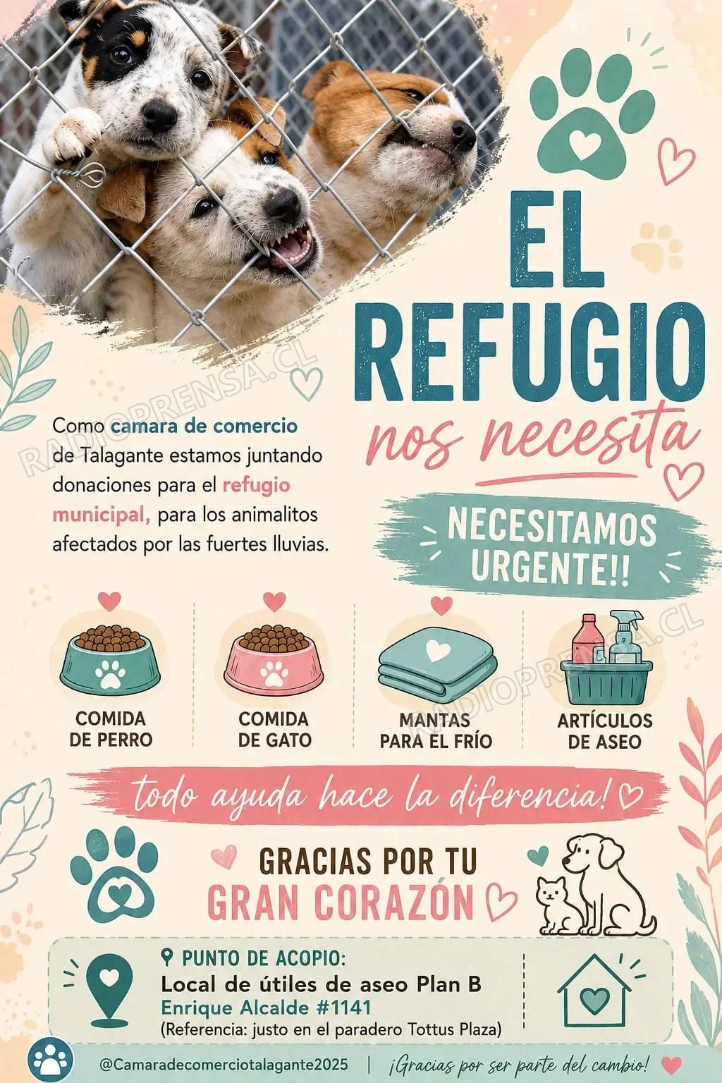 Cámara de Comercio de Talagante Lanza Campaña de Ayuda Urgente para Refugio Municipal de Animales