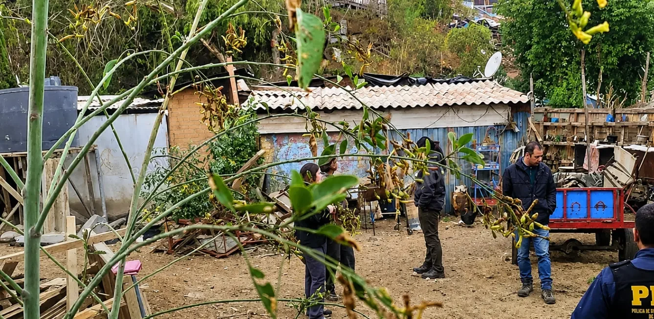 Denuncia vecinal por maltrato animal moviliza a personal municipal y a la PDI en la ribera del río Mapocho