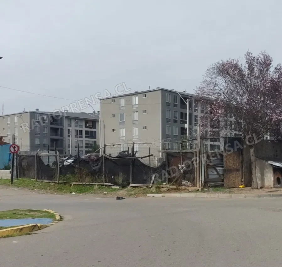 Vecinos de Los Cardenales exigen retirar deslinde por insalubridad e inseguridad en el sector
