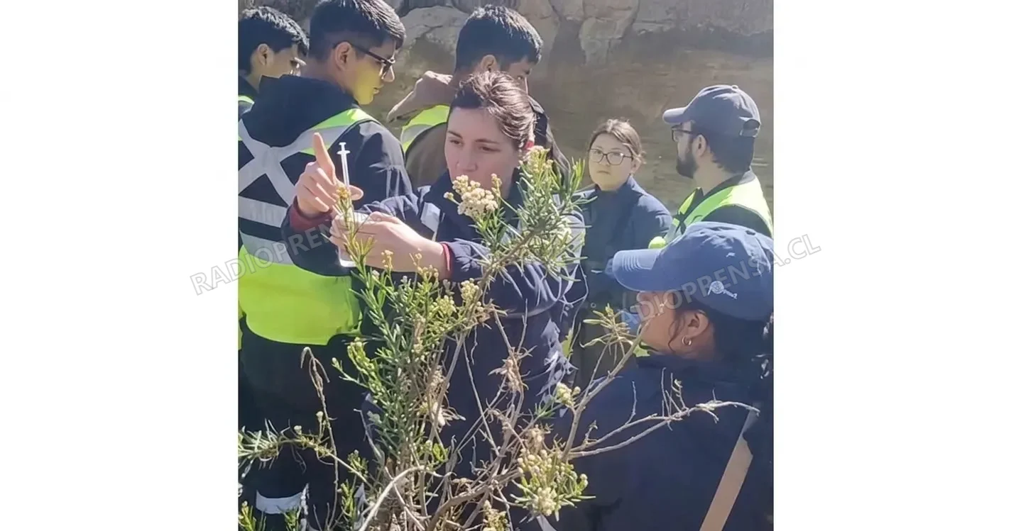 Curacaví y UTEM realizan nuevo monitoreo para evaluar la calidad del agua del Estero Puangue