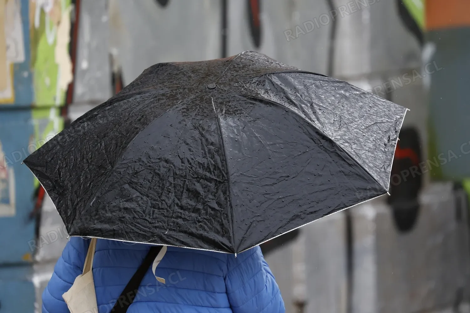 Positivo balance de emergencia en Melipilla tras intensas precipitaciones de esta madrugada