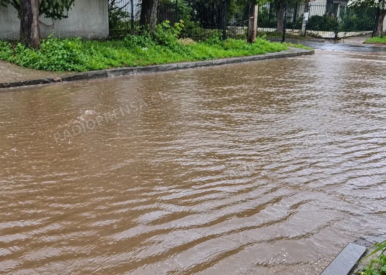 Lluvias dejan más de 60 milímetros de agua caída en sectores de Curacaví