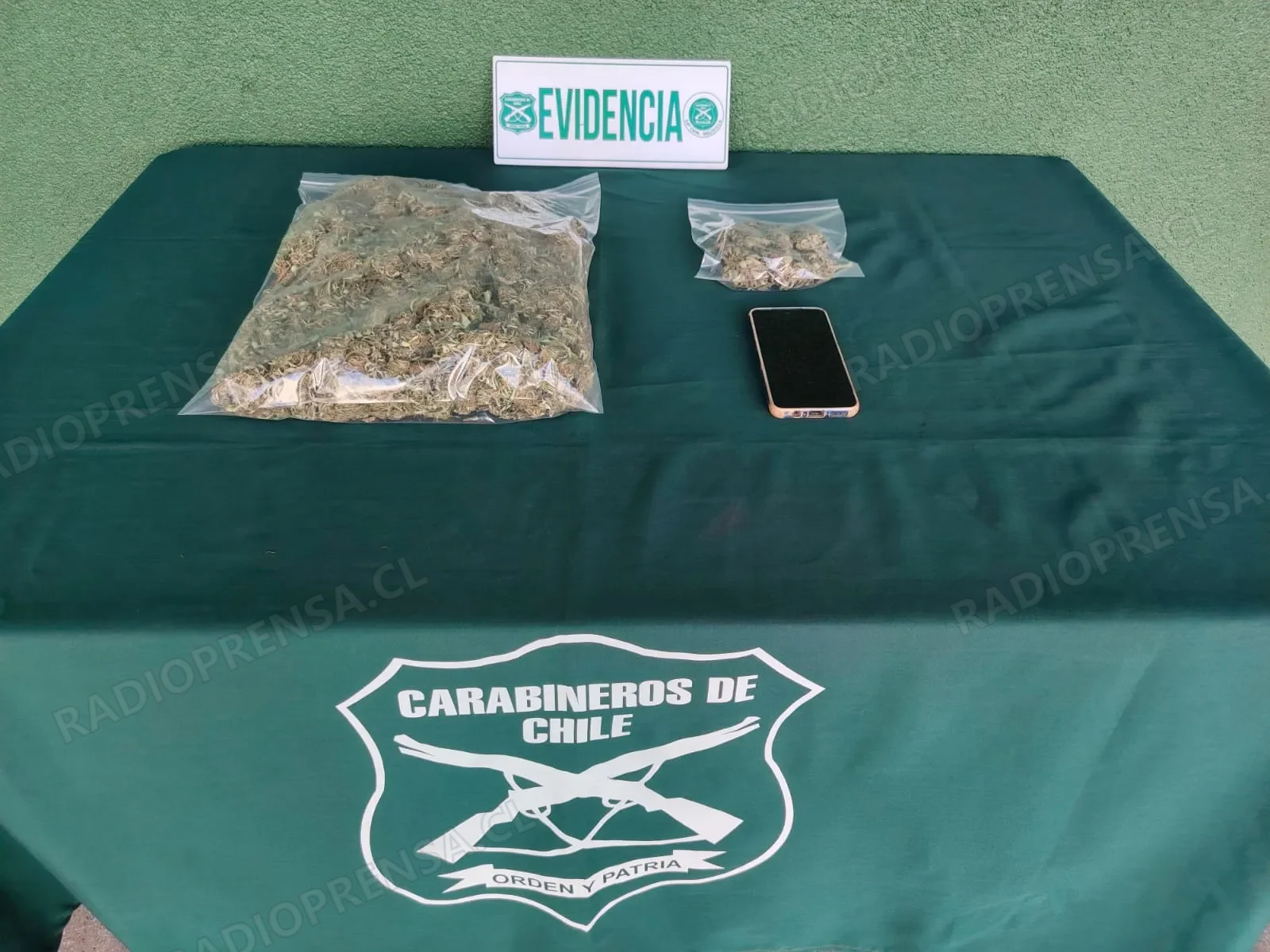 Detenido por microtráfico tras incautación de más de medio kilo de marihuana en Melipilla