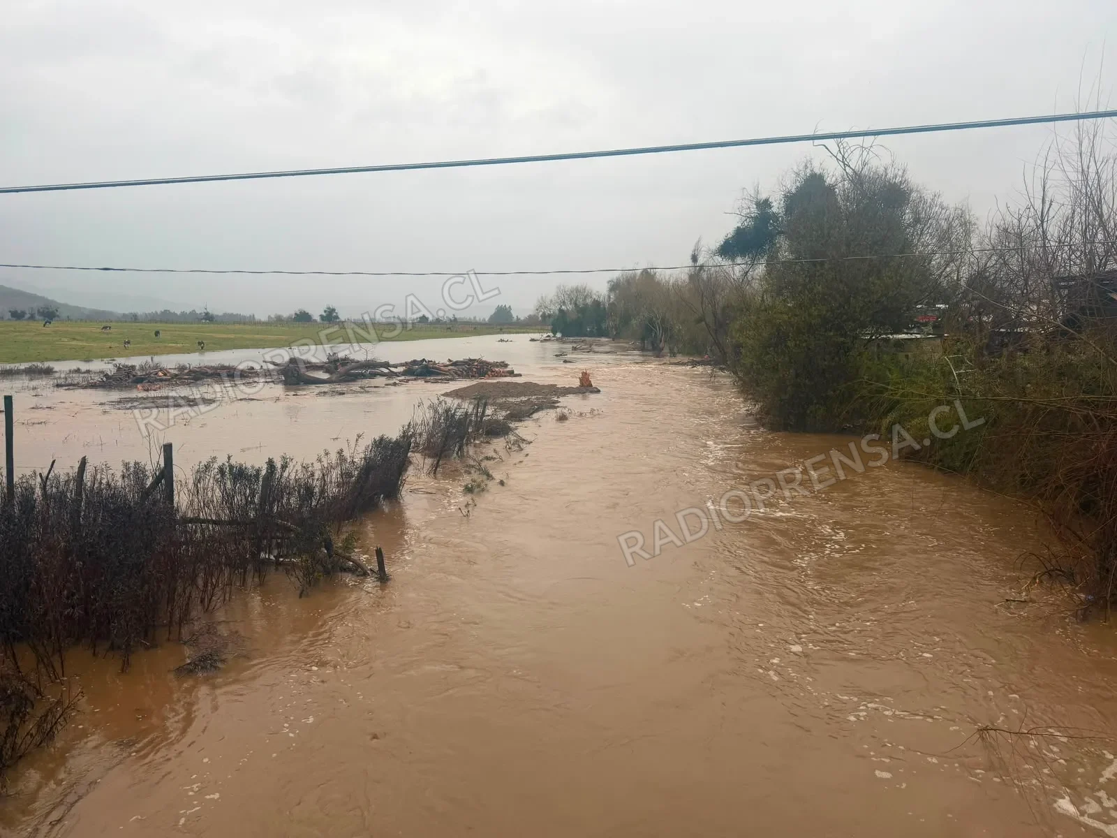 Actualización | Sistema Frontal en Melipilla – Reporte 20:00 horas