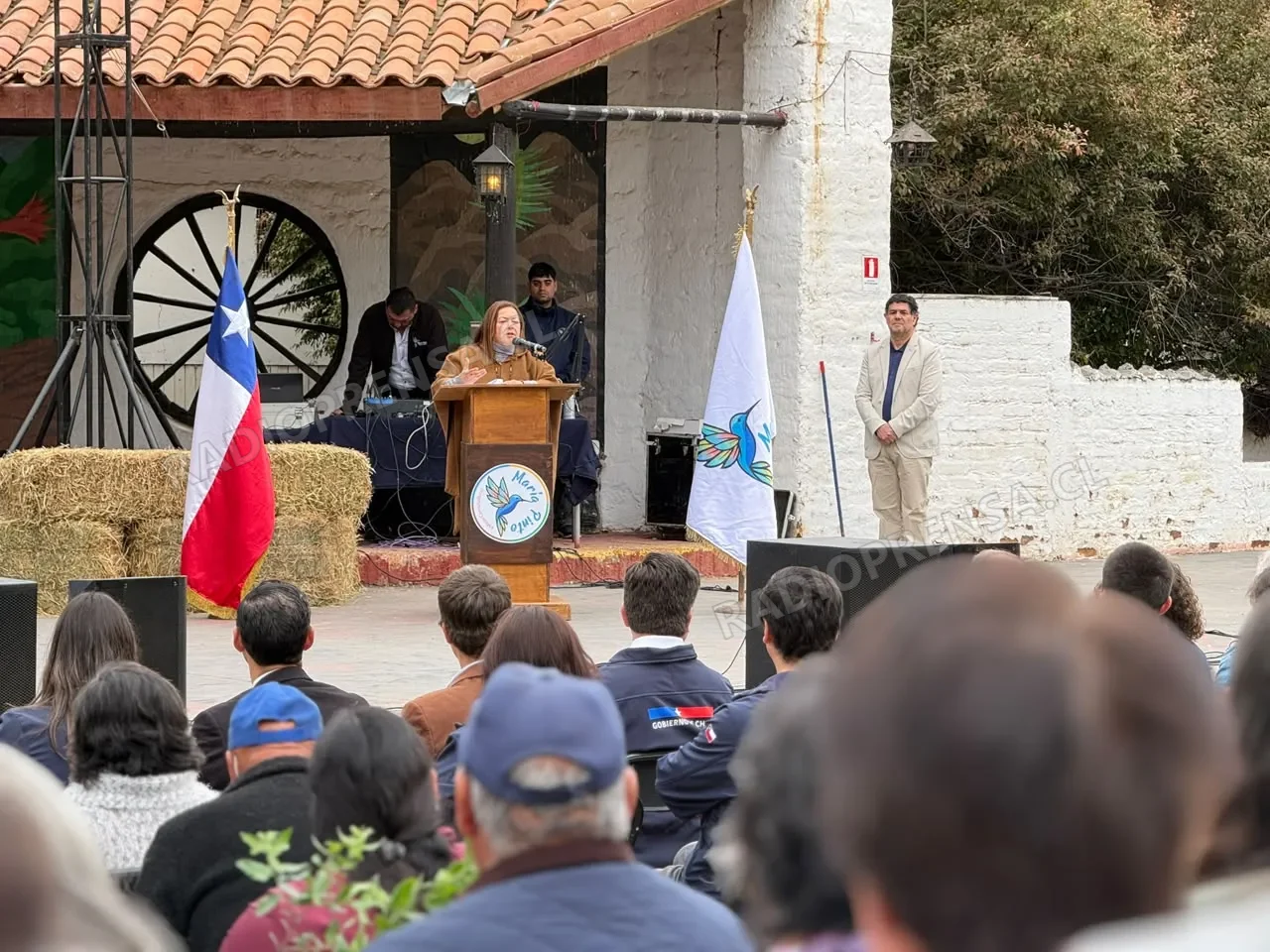 Autoridades conmemoran Día del Campesino junto a agricultores de María Pinto