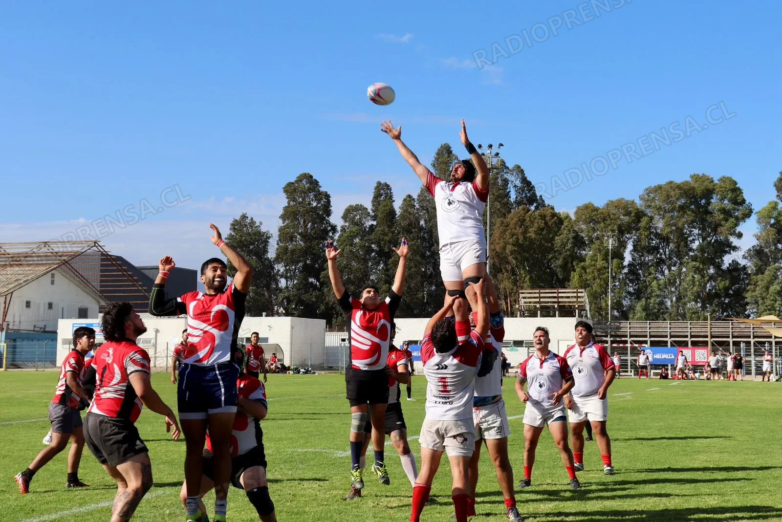 Horcones Rugby club Melipilla logra victoria en campeonato de Arumet