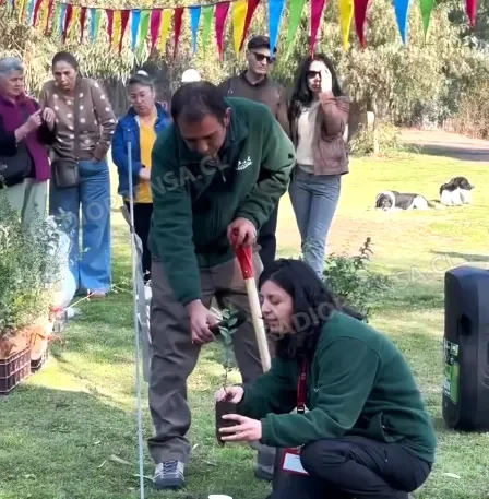 Municipalidad de Talagante impulsó arborización comunal con jornada Adopta tu Árbol