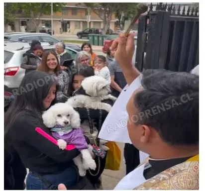 Tradicional bendición de mascotas reunió a niños y familias frente a la Parroquia de Curacaví de fe y encuentro comunitario