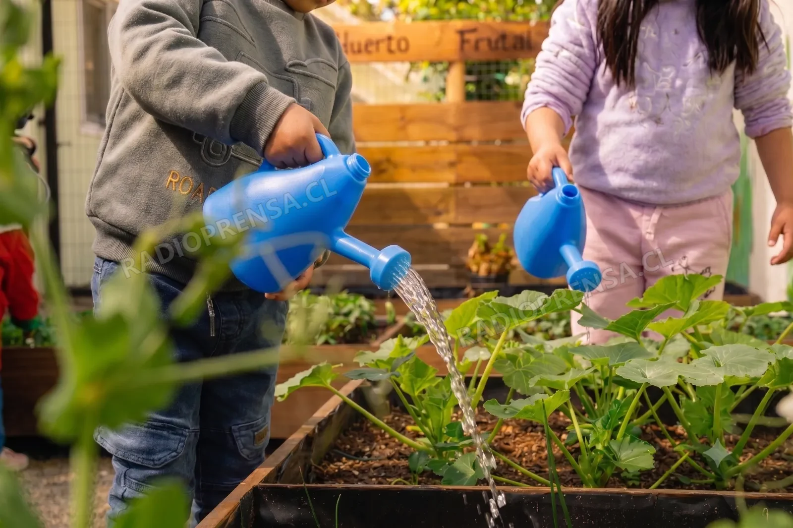 Fondo Vecino Agrosuper abre convocatoria para proyectos que contribuyan a la sustentabilidad y seguridad de entornos educativos