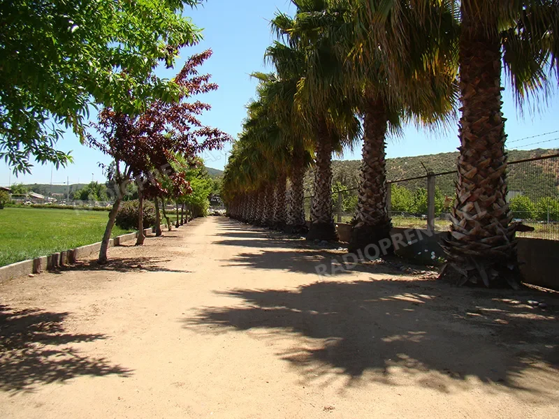Familia denuncia que tumba de su padre apareció ocupada por otra sepultura en cementerio privado en Melipilla