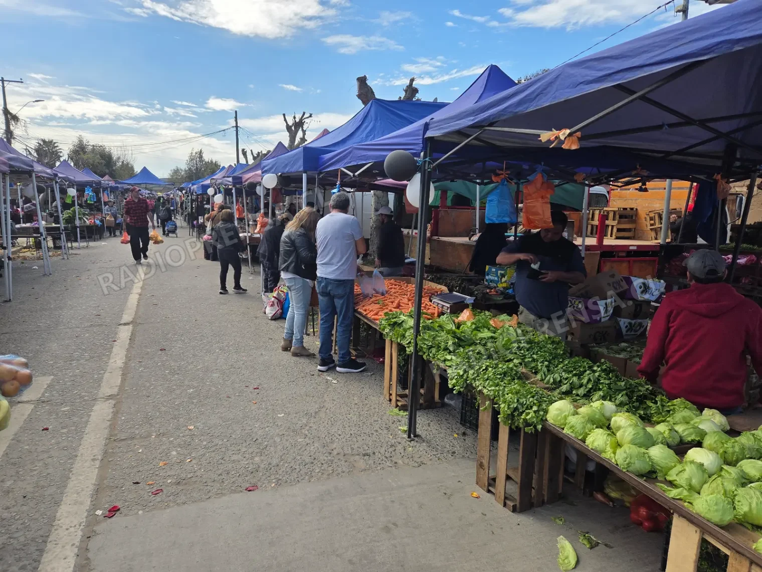 A días de Fiestas Patrias: ¿es más barato comprar en Melipilla que el promedio de la Región Metropolitana?”