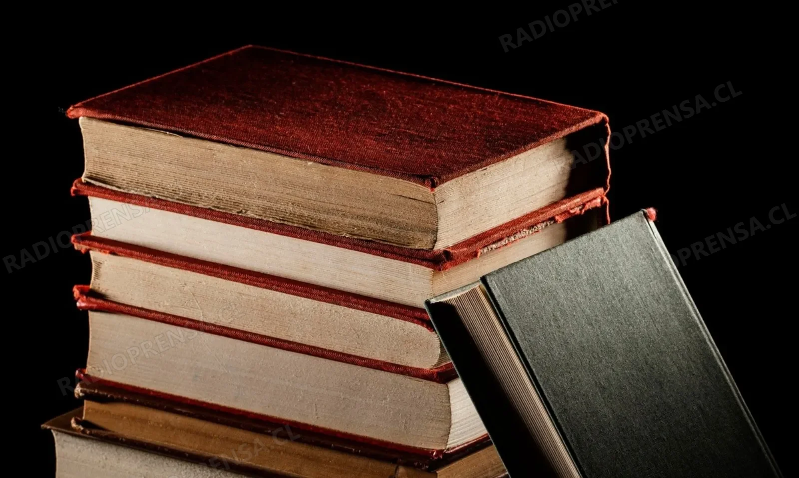 Biblioteca en Tu Barrio llegará este sábado a Villa El Encanto de Talagante