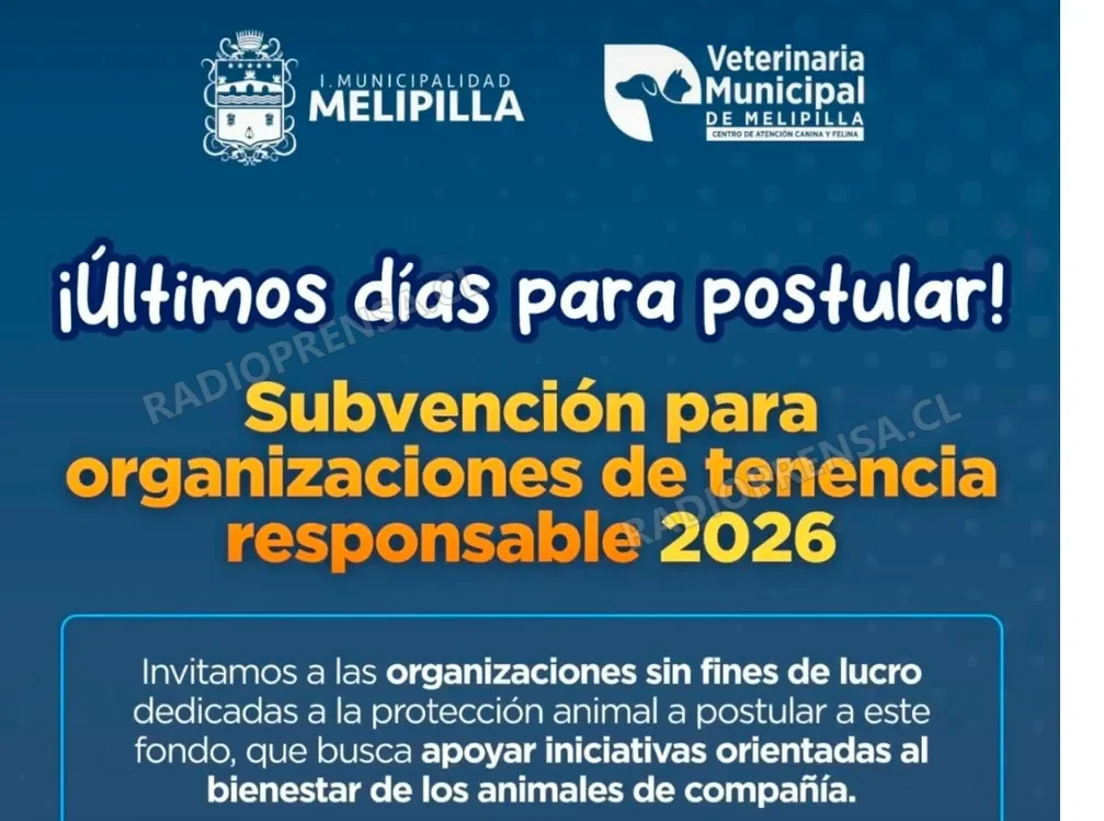 Últimos días para postular al fondo de Tenencia Responsable 2026 en Melipilla