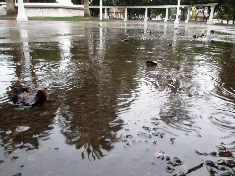 Talagante podría recibir hasta 200 milímetros de lluvia por intenso temporal que afectará a la zona central
