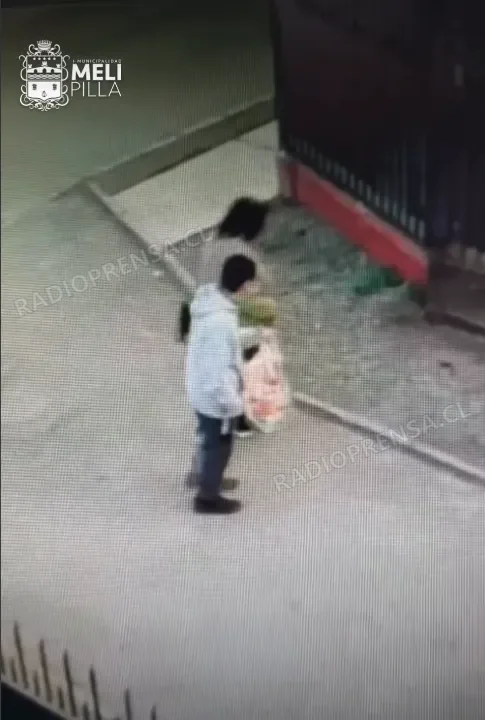 Municipalidad de Melipilla llama a denunciar el abandono de animales tras registro de cámara de seguridad