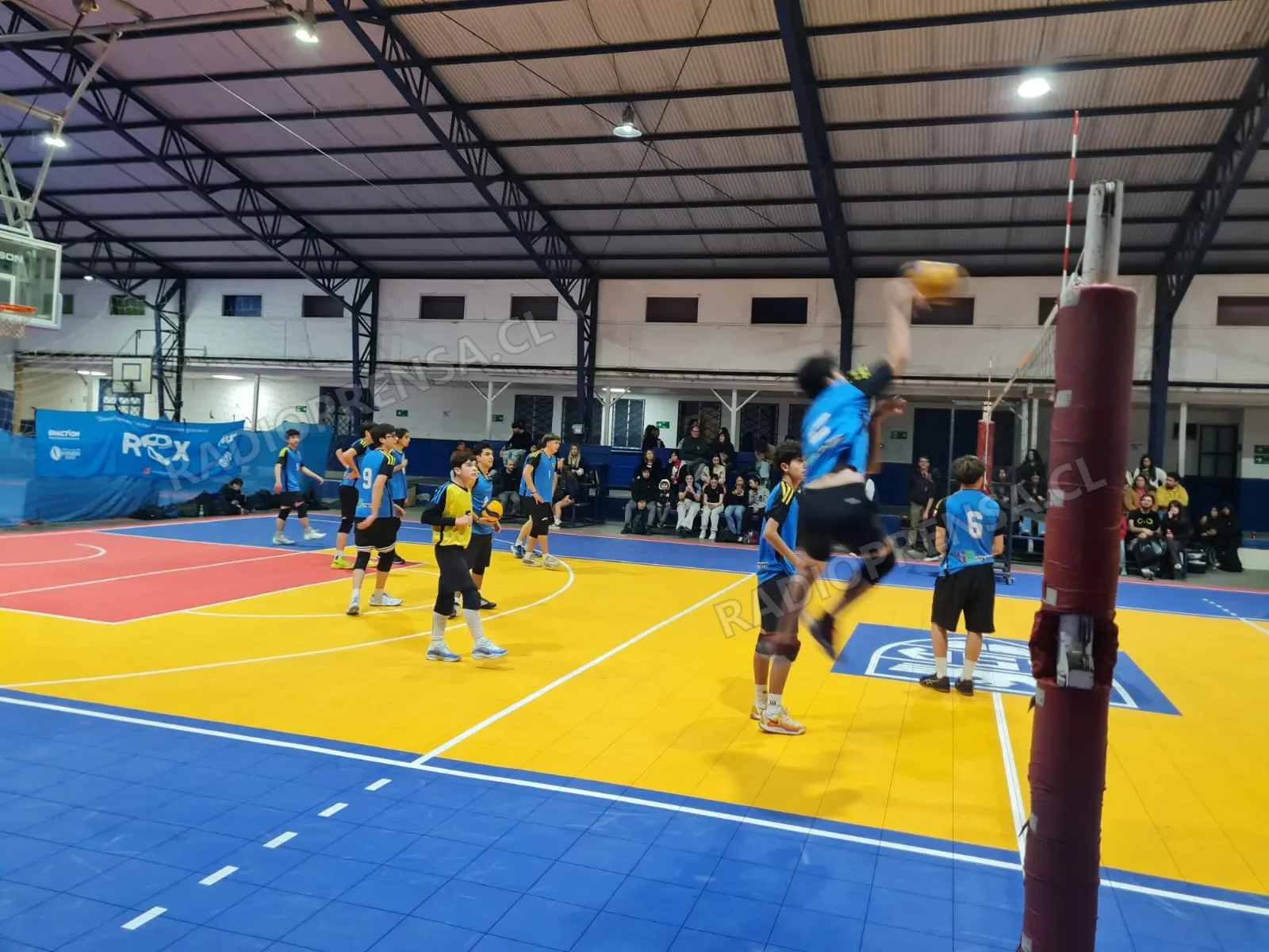 Se está desarrollando campeonato sub 17 de voleibol
