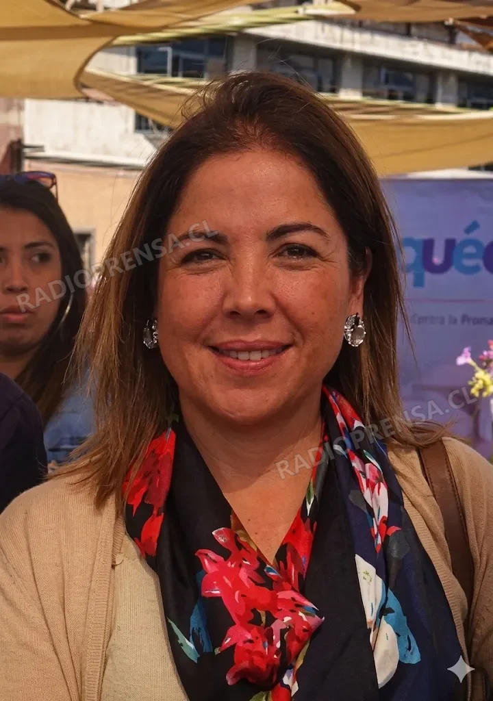 Refugio de Emergencia de Talagante inició funcionamiento sin ocupantes durante su primera noche