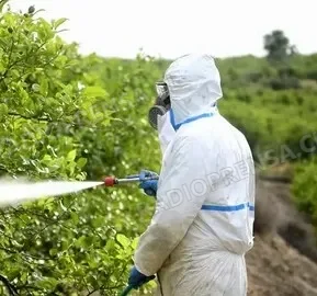 Fumigación en San Pedro y la Ruta de la Fruta: inician aplicaciones nocturnas de herbicida para prevenir incendios y accidentes