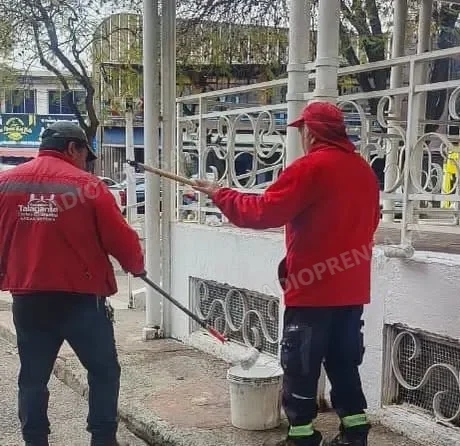 Dirección de Emergencias y Operaciones de Talagante destaca amplio despliegue en la comuna