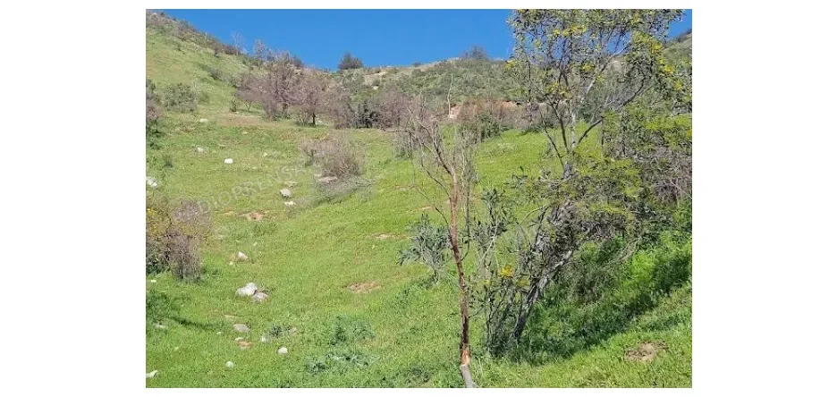 Menores fueron atacados y asaltados por encapuchados armados en el Cerro El Sombrero