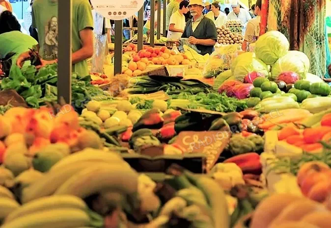Prórroga en la ley de cobro electrónico: feriantes de melipilla analizan el impacto de la normativa y sus beneficios fiscales