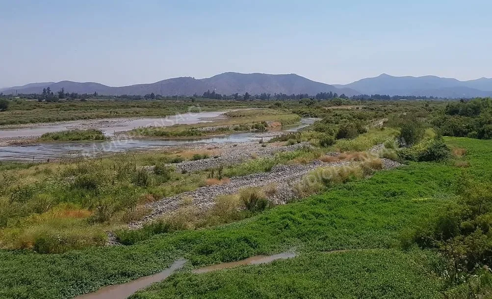 Vecinos instalan cámara de seguridad para proteger el humedal del río Maipo en El Maitén