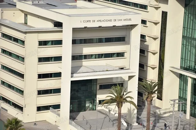 Corte de San Miguel ordena prisión preventiva para banda dedicada al fraude masivo de licencias de conducir en Isla de Maipo